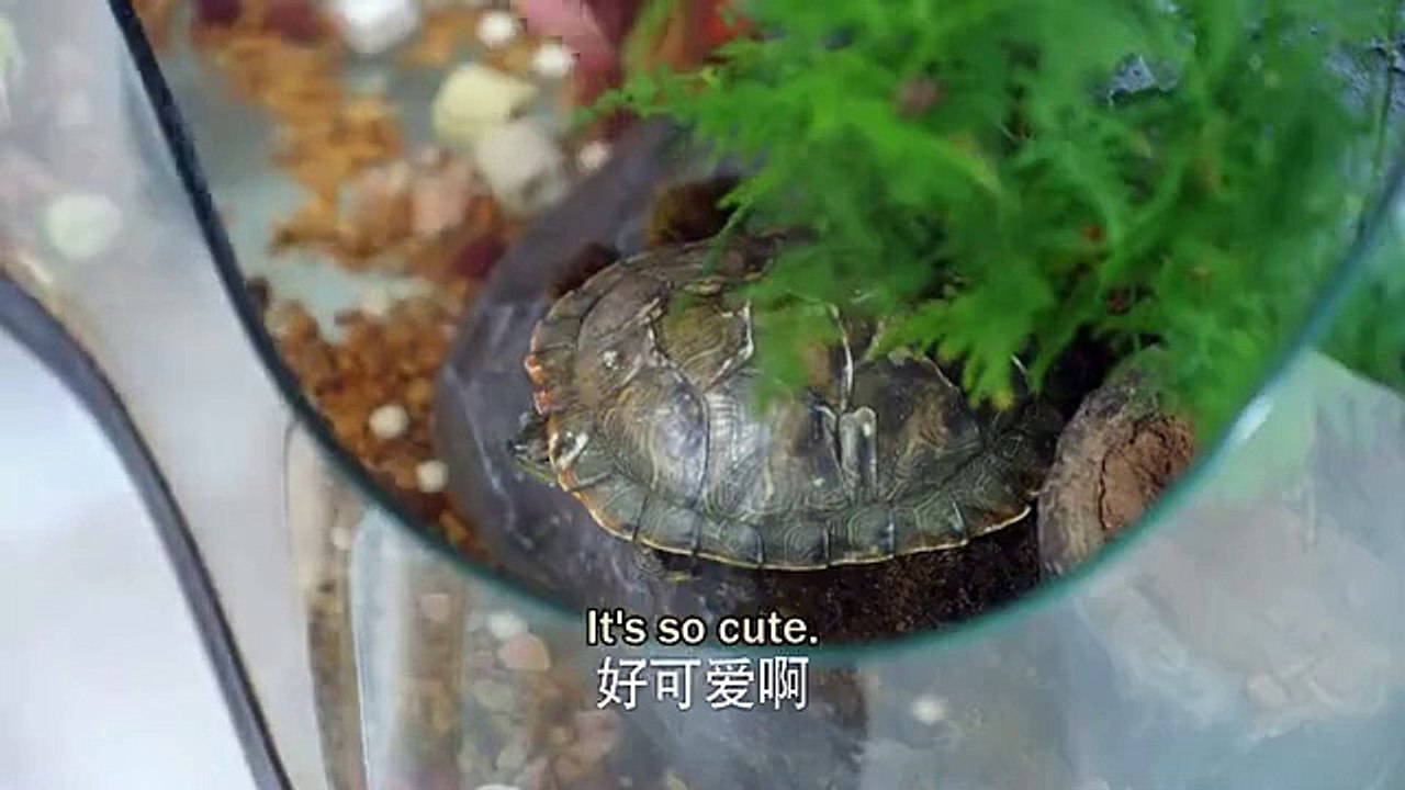 My Deskmate (2021) Ep 6