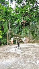 Bamboo toys creation hand made craft