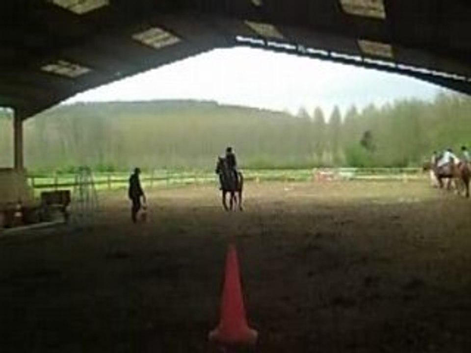 le salut en dressage