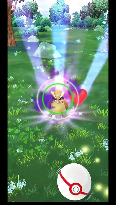 Pokémon GO-Shadow Pidgey