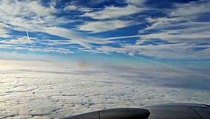 【KOROLL投資】の噂は無し食べ方