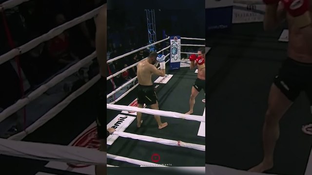 #kickboxing #shorts #kickbox #champions • The Last Dance • By Ender Güney #fight #boxer