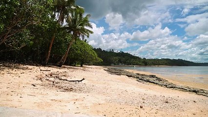 ONU lanza sos mundial