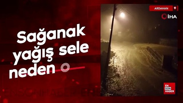 Ardahan'da sağanak yağış sele neden oldu