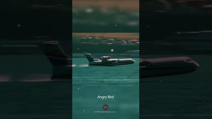 #shorts #trending #airplane • Angry Bird • Ender Güney