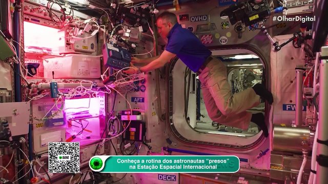Conheça a rotina dos astronautas “presos” na Estação Espacial Internacional