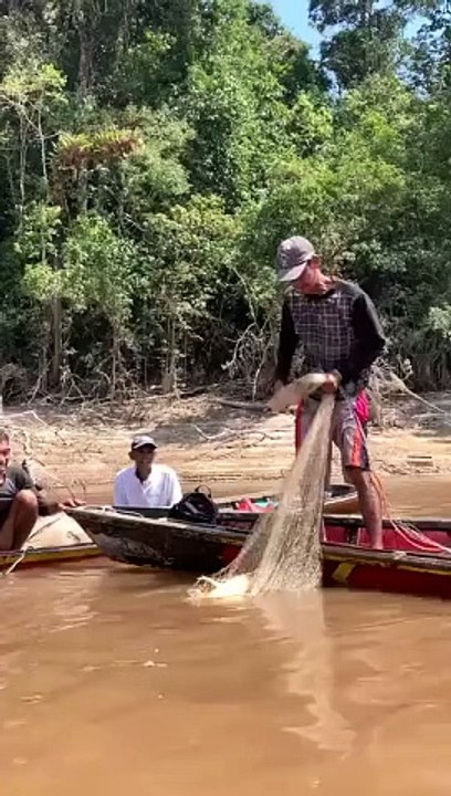 Fish Borneo River