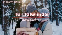 Tu - Talwiinder | Jackie Shroff | Neelam Kothari | (Slowed & Reverb) High quality Video