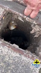 Vecinos de la colonia Miramar en Zapopan reportan aguas negras tras las obras de pavimentación