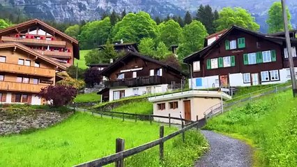 Beautiful nature short video part 2