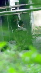 热播短剧《我用读心术搞定总裁老公》精彩剧情全揭晓！💖