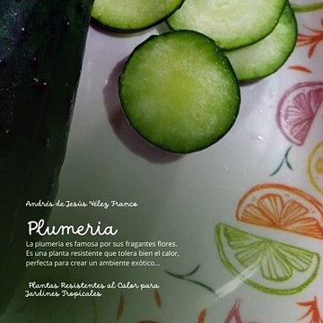 -ANDRÉS DE JESÚS VÉLEZ FRANCO- PLANTAS RESISTENTES AL CALOR: AGAVE, LANTANA Y MÁS (PARTE 2) (@AndresdeJesus90)