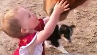 Kiddo Gives Good Night Kisses to Her Horses -- ViralHog-T4x2OVWIgBs