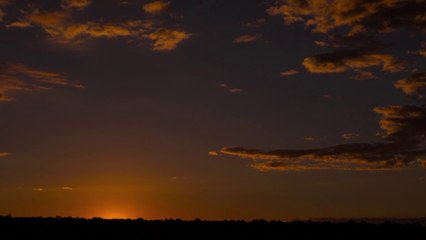 DƯỢC NAM HÀ - 64 NĂM BỀN NHIỆT HUYẾT, VỮNG TIÊN PHONG