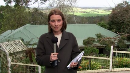 Victorians warned to expect more strong and damaging winds today