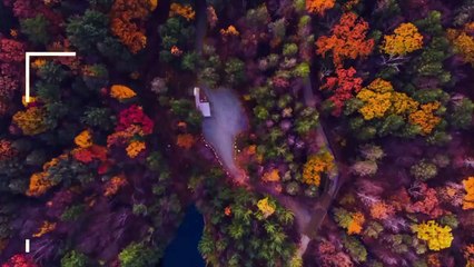 WOOD DIYS YOU LL WANT TO TRY FOR FALL _ CRAFTS 2024