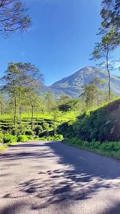perjalanan menuju gunung bromo