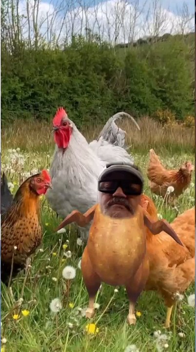 Ecco il mio ultimo video