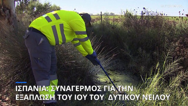 Συναγερμός στην Ισπανία για την εξάπλωση του ιού του Δυτικού Νείλου