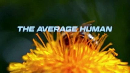 9-1-1 - Notruf L.A. - staffel 8 Teaser OV