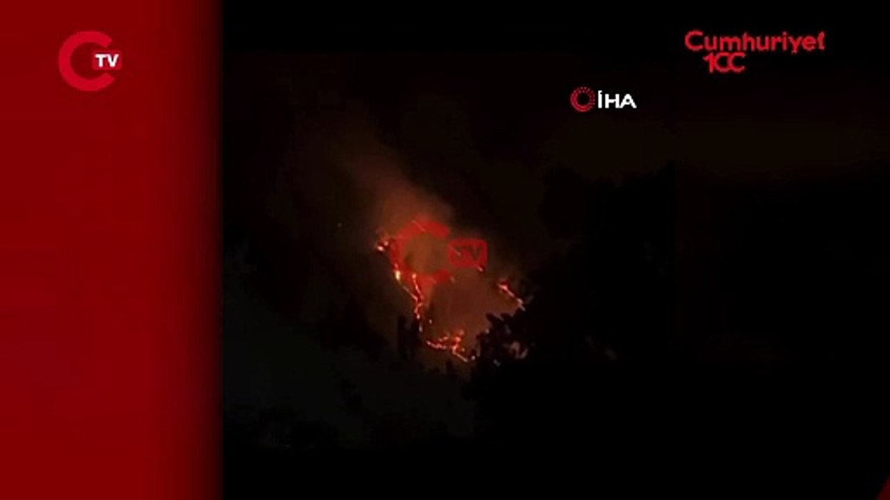 Bursa'da orman yangını 12 saatte kontrol altına alındı