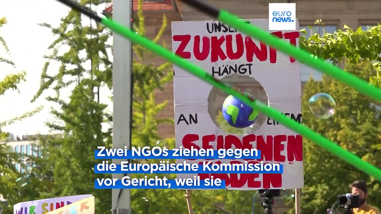 Grüne Aktivisten wollen Revision der 'unzureichenden' Klimaziele der EU erzwingen
