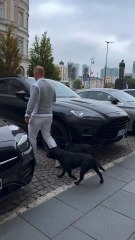 "Perfect Dog Perfect Car Perfec Life Follow For More"