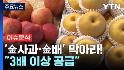 [경제PICK] 추석 '金사과·金배' 막아라!..."3배 이상 공급" / YTN
