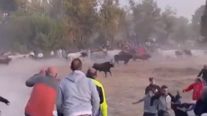 Quinto encierro de Cuéllar