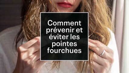 Comment prévenir et éviter les pointes fourchues