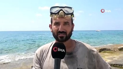 Pandemide işsiz kalmıştı... Şimdi ekmeğini denizin dibinden çıkarıyor