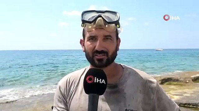 Pandemide işsiz kalmıştı... Şimdi ekmeğini denizin dibinden çıkarıyor