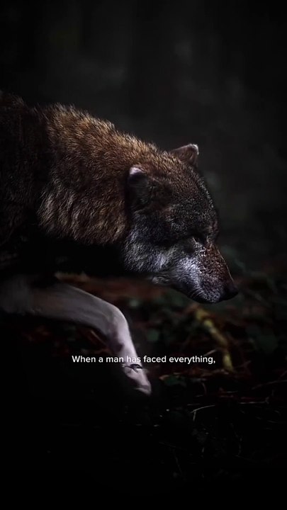 Become a monster #motivation #usa #top #foryou #dailymotion #viral #trending