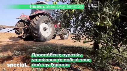 Φορτηγά για πότισμα, λεκάνες στις τουαλέτες: Η ξηρασία χτυπάει τη Βόρεια Ελλάδα