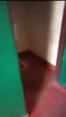 Robo de inodoros en la escuela 122