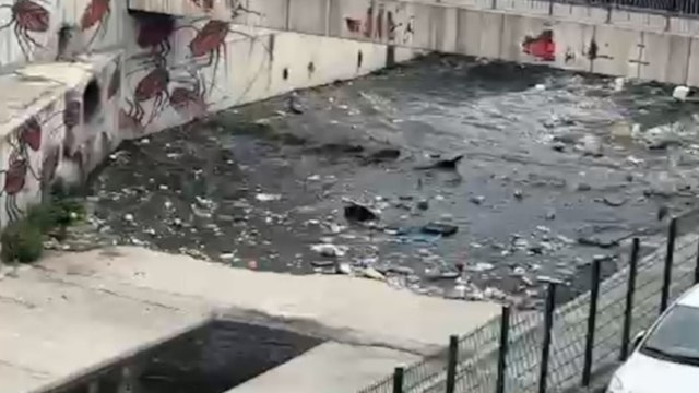 İstanbul'da sağanak sonrası Kurbağalıdere'den çöp aktı