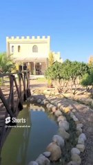 Vente villa exceptionnelle à #Djerba #Tunisie