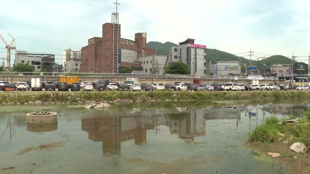 [경기] 광주시 목현천 생태하천 복원사업 경기도 공모 선정 / YTN