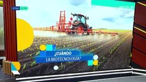 ​Anapo advierte de disminución en la siembra de soya y exhorta al Gobierno a apurar acuerdos para el uso de la biotecnología