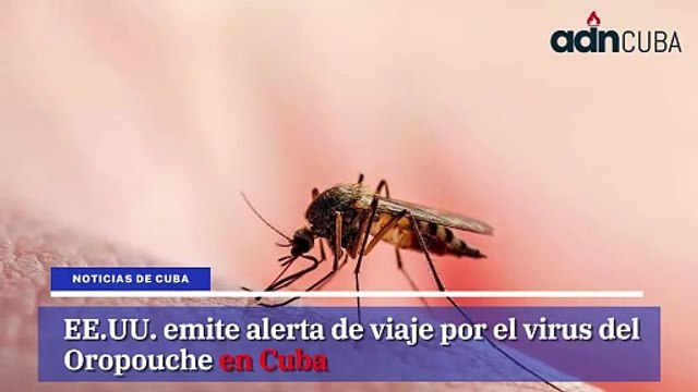 Las noticias más leídas en ADN Cuba hoy Agosto 28