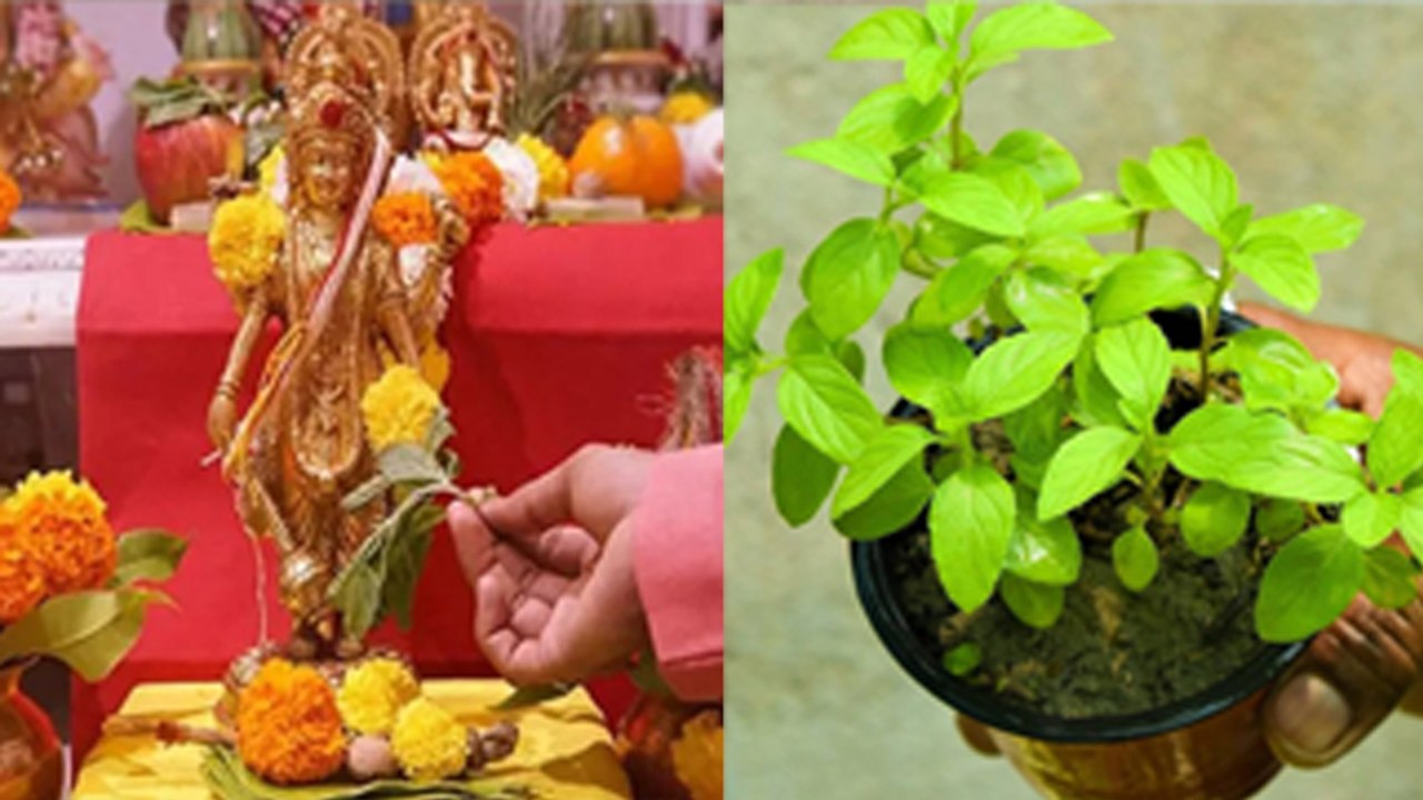 Aja Ekadashi 2024 Daan List: अजा एकादशी के दिन क्या दान करना चाहिए क्या नहीं | Boldsky