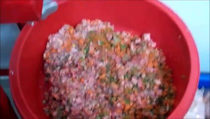 Feeding English bulldogs BARF diet