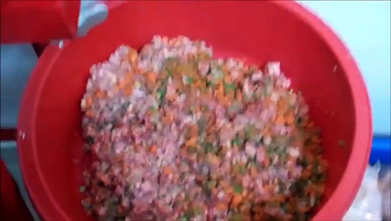 Feeding English bulldogs BARF diet