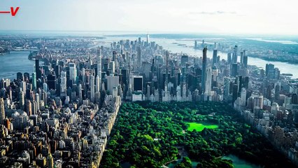 An Environmental Organization Has Called for an Investigation of RFK Jr.