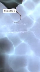 Ils sont trop naifs mdrr