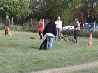 Suite au pieds sans laisse