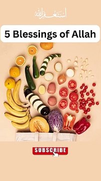 Blessings of Allah #islamic #islamicshorts #shorts #shortsfeed #trending #trendingshorts #fyp
