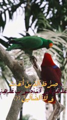 الفاتحة بافضل صوت مريح للقلب