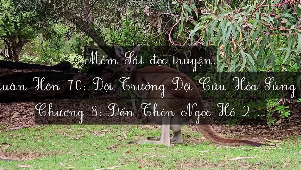 C1-C23 Quân Hôn 70: Đội Trưởng Đội Cứu Hỏa Sủng Thê Như Bảo