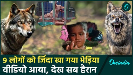 Descargar video: Bahraich: बहराइच में आदमखोर भेड़ियों का आतंक, बच्चों को बनाया निवाला | Wolf Attack  | वनइंडिया हिंद